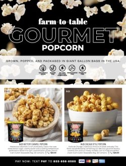 2024F_Poppin-Popcorn